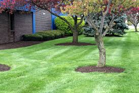 commercial landscape maintenance services