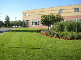 commercial landscape maintenance