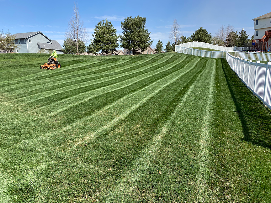 lawn maintenance 2020