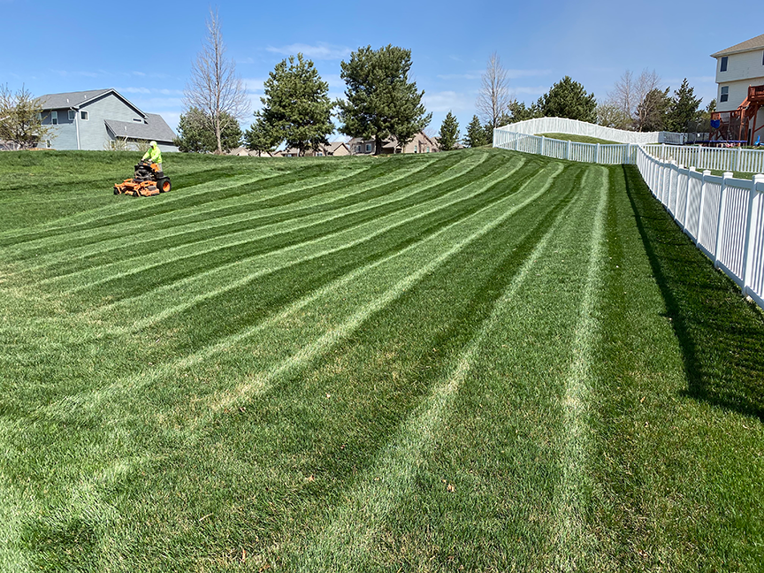 lawn maintenance & mowing