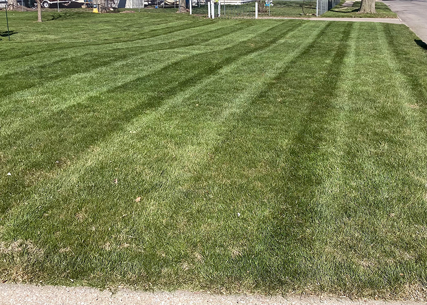 lawn maintenance omaha 2020